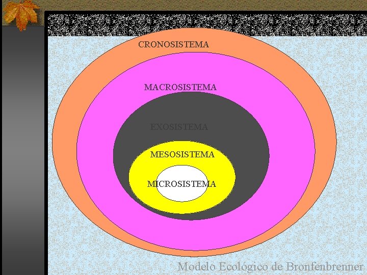 CRONOSISTEMA MACROSISTEMA EXOSISTEMA MACROSISTEMA MESOSISTEMA MICROSISTEMA Modelo Ecológico de Bronfenbrenner 
