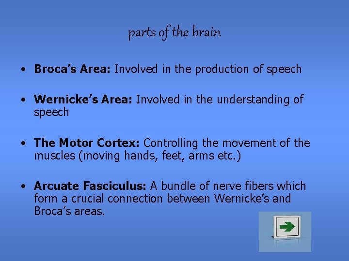 parts of the brain • Broca’s Area: Involved in the production of speech •