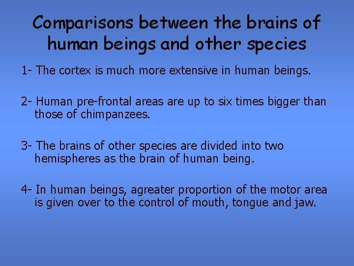 Comparisons between the brains of human beings and other species 1 - The cortex