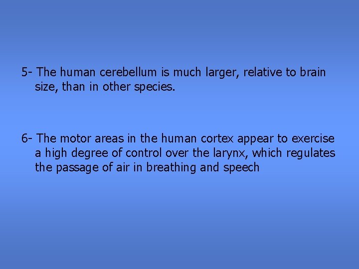 5 - The human cerebellum is much larger, relative to brain size, than in