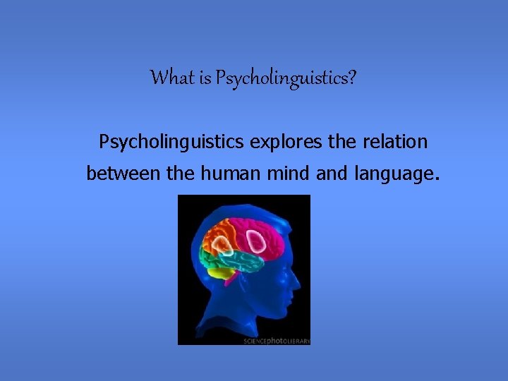What is Psycholinguistics? Psycholinguistics explores the relation between the human mind and language. 