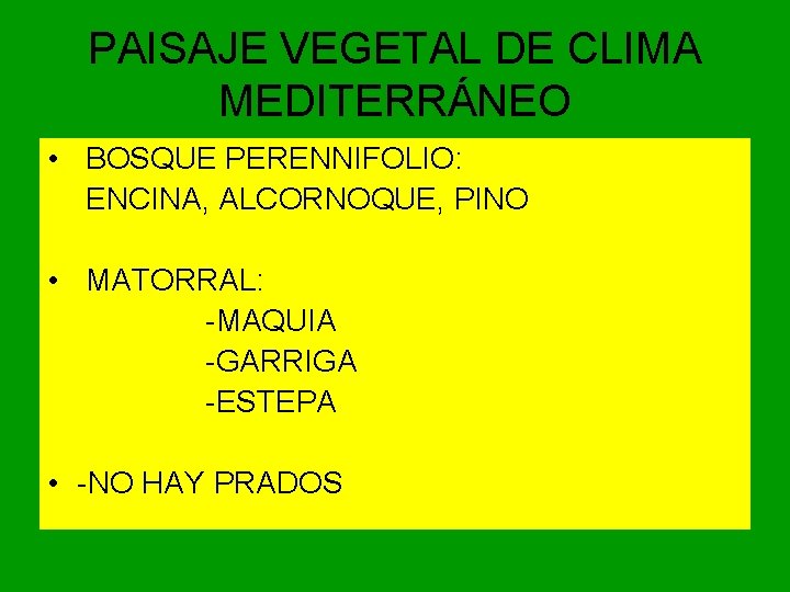 PAISAJE VEGETAL DE CLIMA MEDITERRÁNEO • BOSQUE PERENNIFOLIO: ENCINA, ALCORNOQUE, PINO • MATORRAL: -MAQUIA