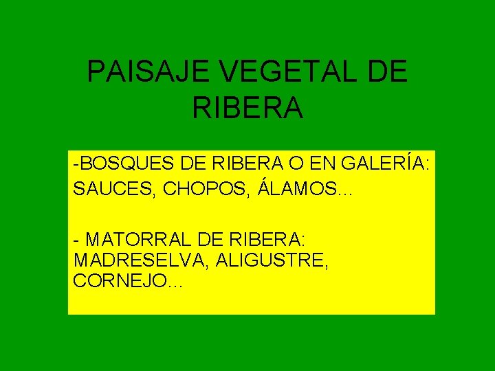 PAISAJE VEGETAL DE RIBERA -BOSQUES DE RIBERA O EN GALERÍA: SAUCES, CHOPOS, ÁLAMOS… -