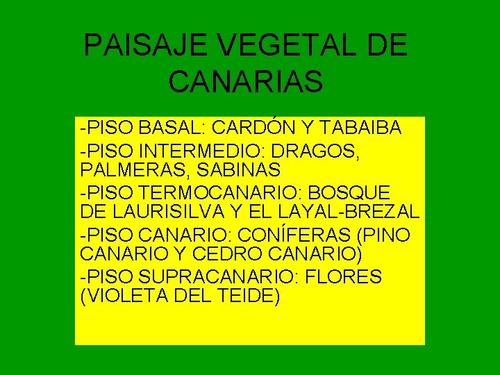 PAISAJE VEGETAL DE CANARIAS -PISO BASAL: CARDÓN Y TABAIBA -PISO INTERMEDIO: DRAGOS, PALMERAS, SABINAS