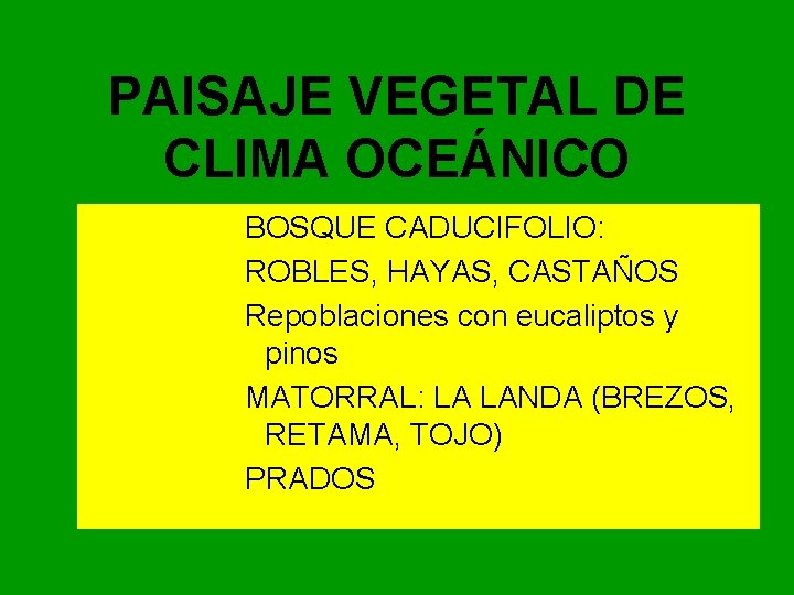 PAISAJE VEGETAL DE CLIMA OCEÁNICO BOSQUE CADUCIFOLIO: ROBLES, HAYAS, CASTAÑOS Repoblaciones con eucaliptos y