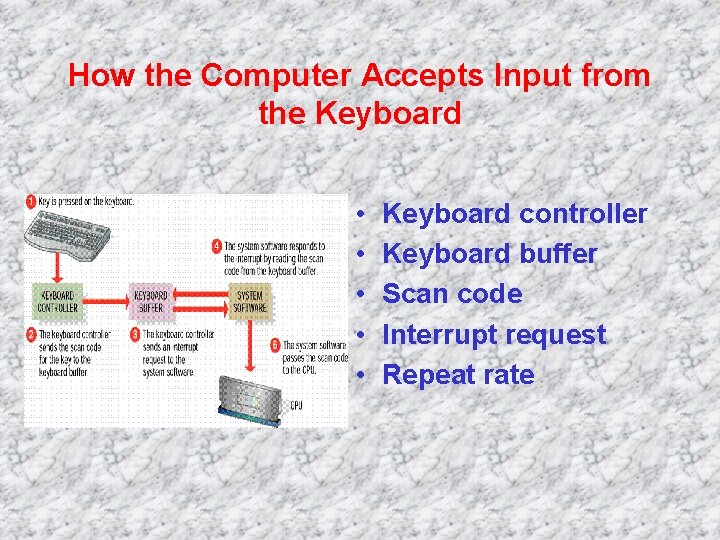 How the Computer Accepts Input from the Keyboard • • • Keyboard controller Keyboard