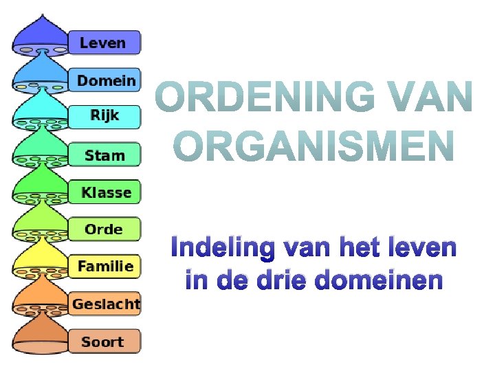 Indeling van het leven in de drie domeinen 