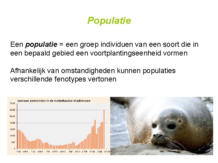 Populatie Een populatie = een groep individuen van een soort die in een bepaald