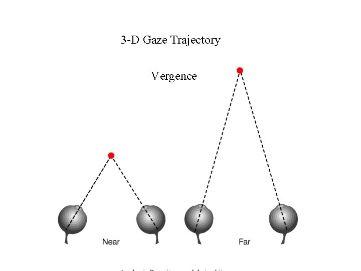 3 -D Gaze Trajectory Vergence 