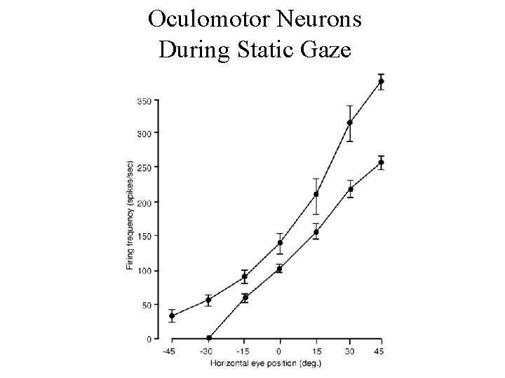 Oculomotor Neurons During Static Gaze 