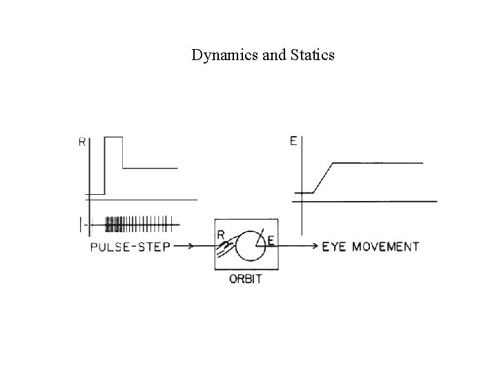 Dynamics and Statics 