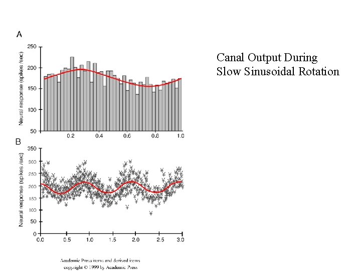 Canal Output During Slow Sinusoidal Rotation 