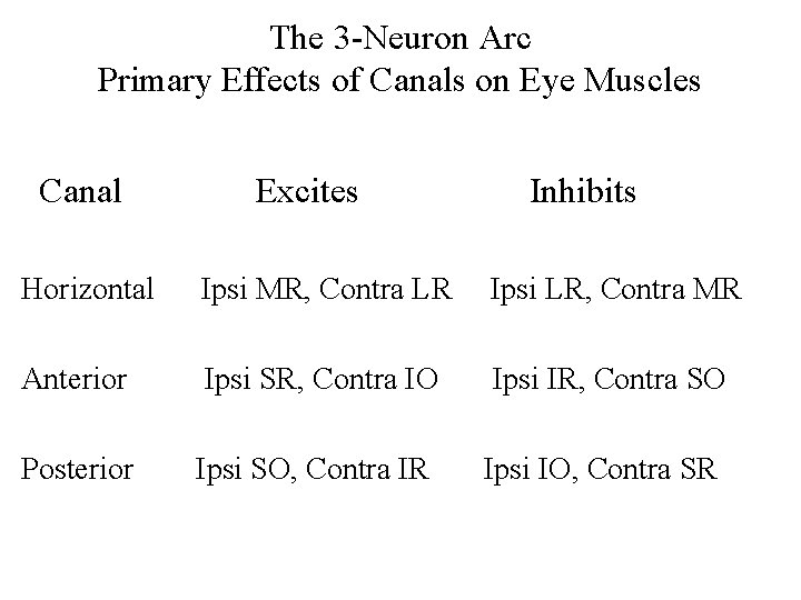 The 3 -Neuron Arc Primary Effects of Canals on Eye Muscles Canal Excites Inhibits