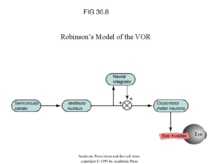 Robinson’s Model of the VOR 