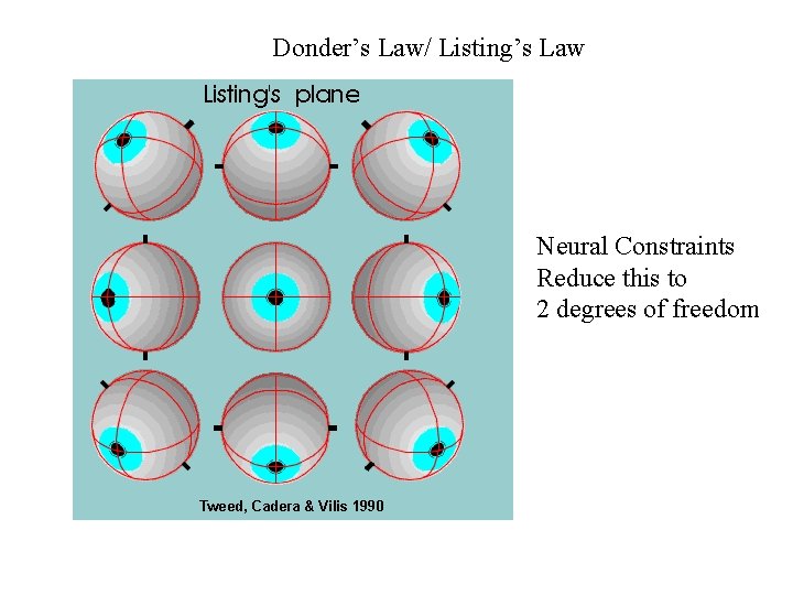 Donder’s Law/ Listing’s Law Neural Constraints Reduce this to 2 degrees of freedom 