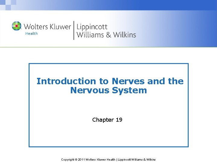 Introduction to Nerves and the Nervous System Chapter 19 Copyright © 2011 Wolters Kluwer