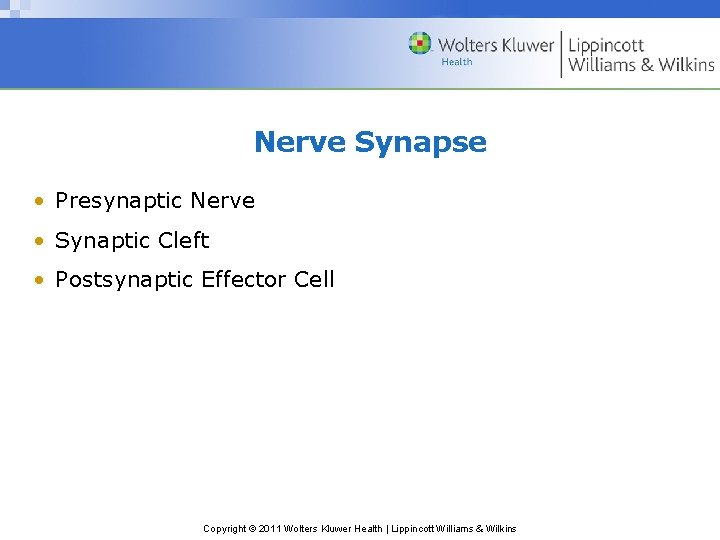 Nerve Synapse • Presynaptic Nerve • Synaptic Cleft • Postsynaptic Effector Cell Copyright ©