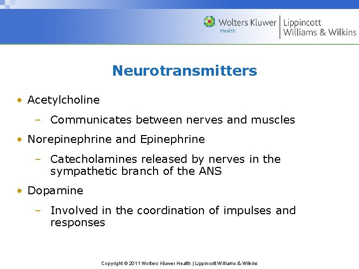 Neurotransmitters • Acetylcholine – Communicates between nerves and muscles • Norepinephrine and Epinephrine –