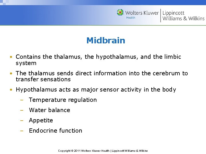 Midbrain • Contains the thalamus, the hypothalamus, and the limbic system • The thalamus