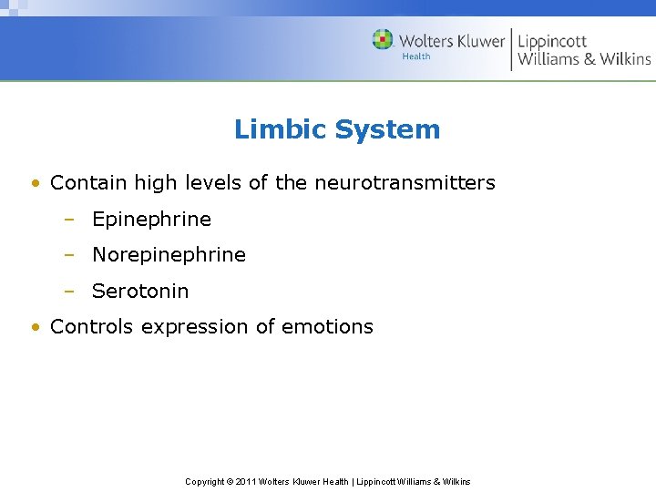 Limbic System • Contain high levels of the neurotransmitters – Epinephrine – Norepinephrine –