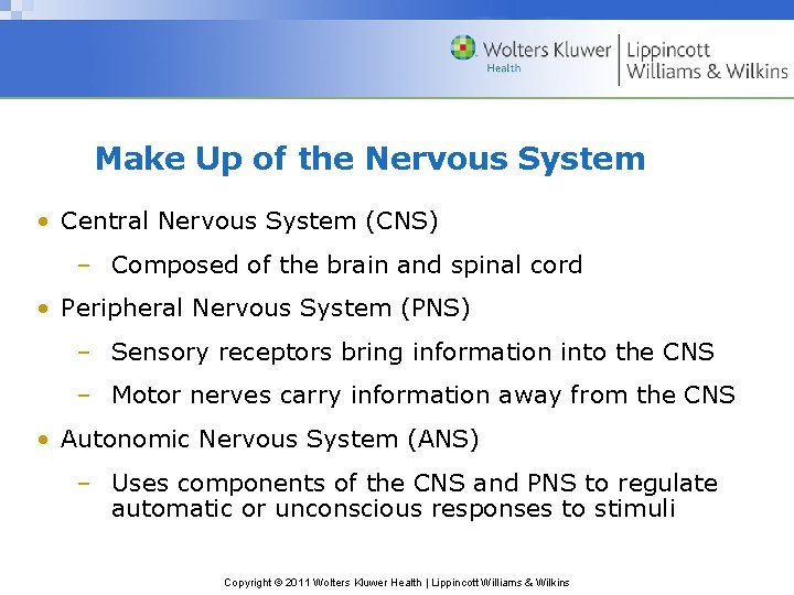 Make Up of the Nervous System • Central Nervous System (CNS) – Composed of