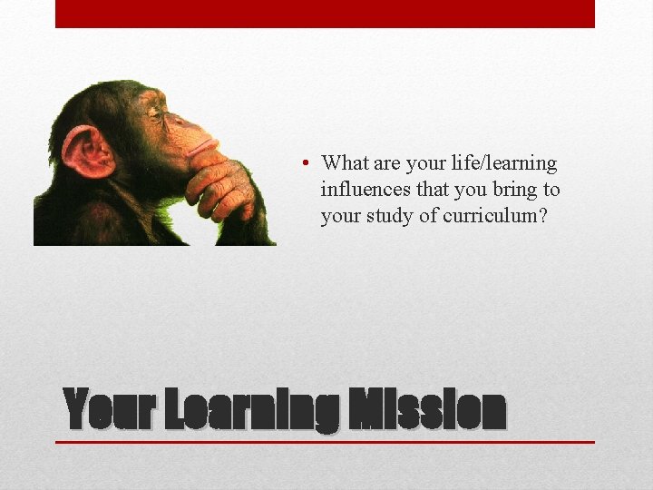  • What are your life/learning influences that you bring to your study of