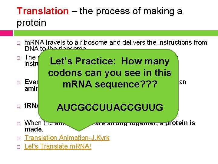 Translation – the process of making a protein m. RNA travels to a ribosome