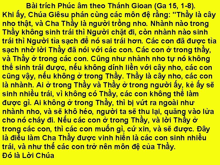 Bài trích Phúc âm theo Thánh Gioan (Ga 15, 1 -8). Khi ấy, Chúa