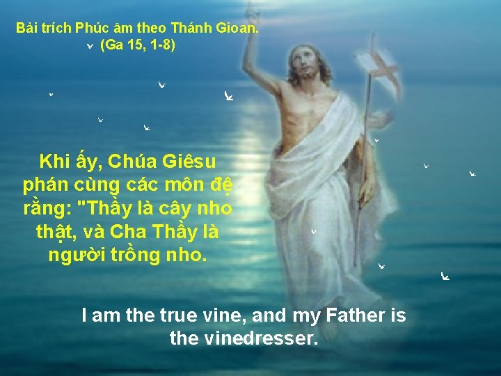 Bài trích Phúc âm theo Thánh Gioan. (Ga 15, 1 -8) Khi ấy, Chúa