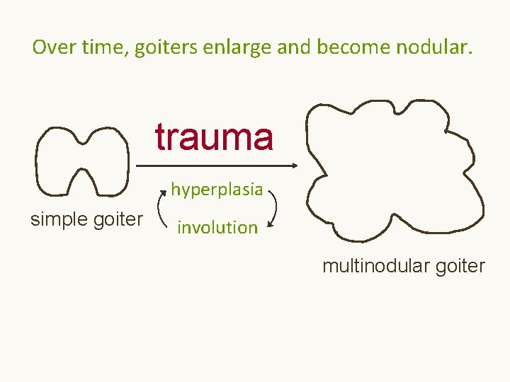 Over time, goiters enlarge and become nodular. trauma hyperplasia simple goiter involution multinodular goiter Over time, goiters enlarge and become nodular. trauma hyperplasia simple goiter involution multinodular goiter