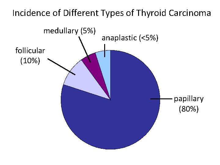 Incidence of Different Types of Thyroid Carcinoma medullary (5%) anaplastic (<5%) follicular (10%) papillary Incidence of Different Types of Thyroid Carcinoma medullary (5%) anaplastic (<5%) follicular (10%) papillary