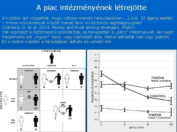 A piac intézményének létrejötte A kutatók azt vizsgálták, hogy változó méretű társulásokban – 2,