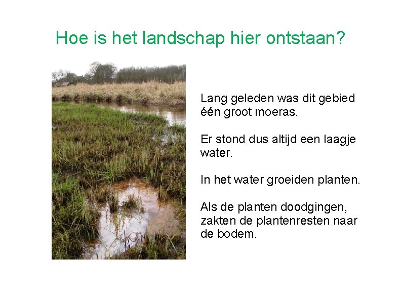 Hoe is het landschap hier ontstaan? Lang geleden was dit gebied één groot moeras.