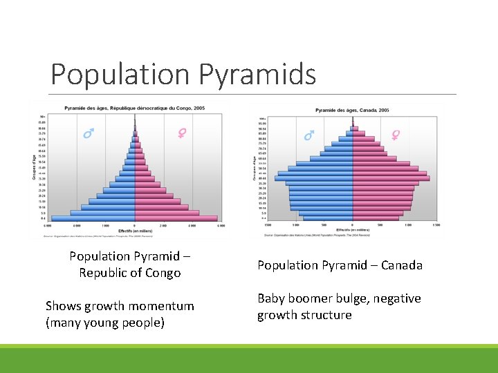 Population Pyramids Population Pyramid – Republic of Congo Shows growth momentum (many young people)