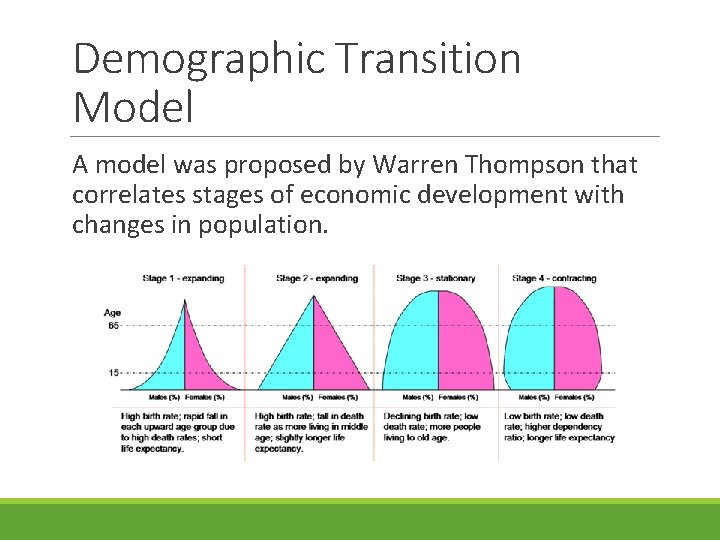 Demographic Transition Model A model was proposed by Warren Thompson that correlates stages of