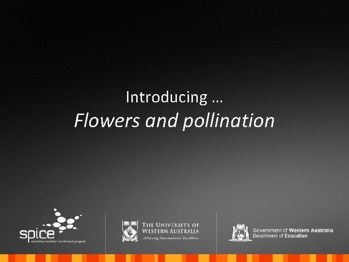 Introducing … Flowers and pollination 