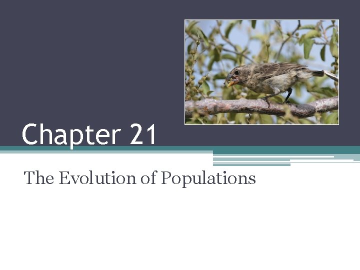Chapter 21 The Evolution of Populations 