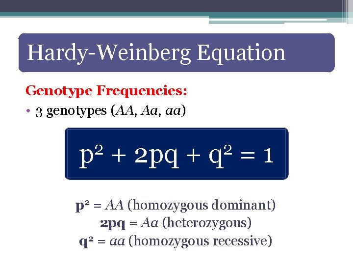 Hardy-Weinberg Equation Genotype Frequencies: • 3 genotypes (AA, Aa, aa) 2 p + 2
