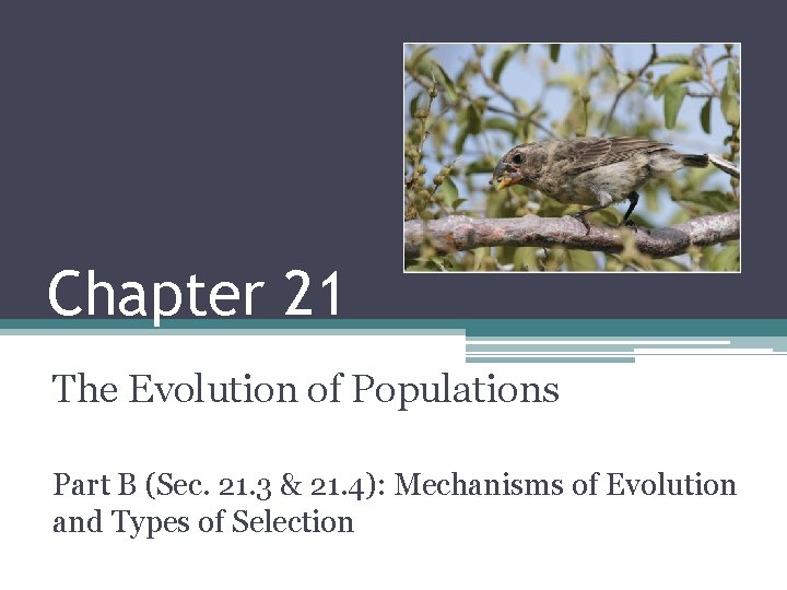Chapter 21 The Evolution of Populations Part B (Sec. 21. 3 & 21. 4):