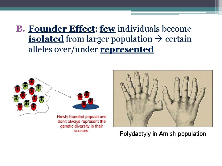 B. Founder Effect: few individuals become isolated from larger population certain alleles over/under represented