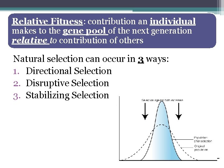 Relative Fitness: contribution an individual makes to the gene pool of the next generation