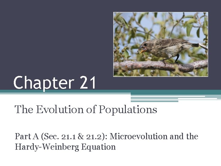 Chapter 21 The Evolution of Populations Part A (Sec. 21. 1 & 21. 2):