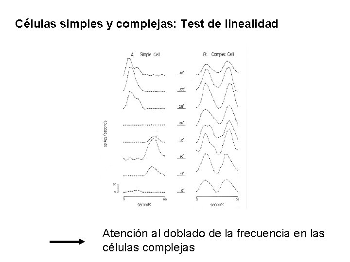 Células simples y complejas: Test de linealidad Atención al doblado de la frecuencia en