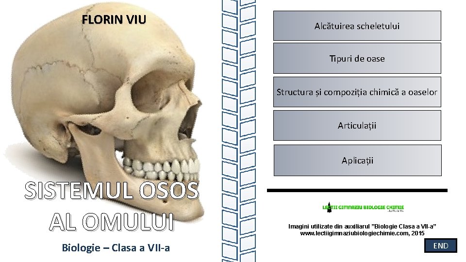 FLORIN VIU Alcătuirea scheletului Tipuri de oase Structura și compoziția chimică a oaselor Articulații