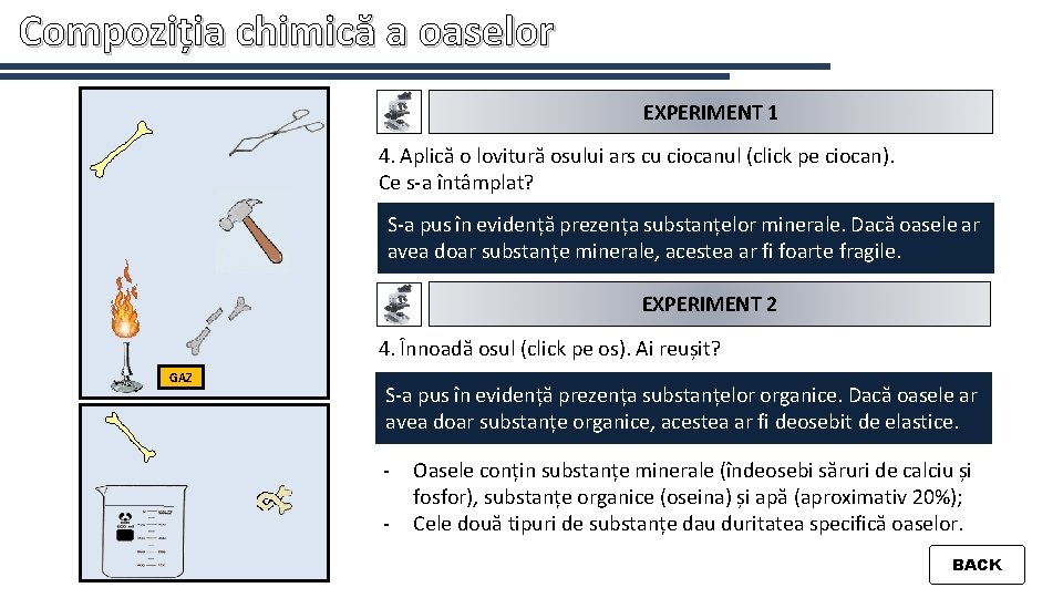 Compoziția chimică a oaselor EXPERIMENT 1 4. o lovitură osului cu ciocanul (click ciocan).