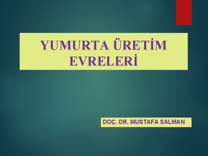 YUMURTA ÜRETİM EVRELERİ DOÇ. DR. MUSTAFA SALMAN 