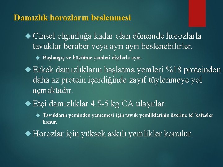 Damızlık horozların beslenmesi Cinsel olgunluğa kadar olan dönemde horozlarla tavuklar beraber veya ayrı beslenebilirler.