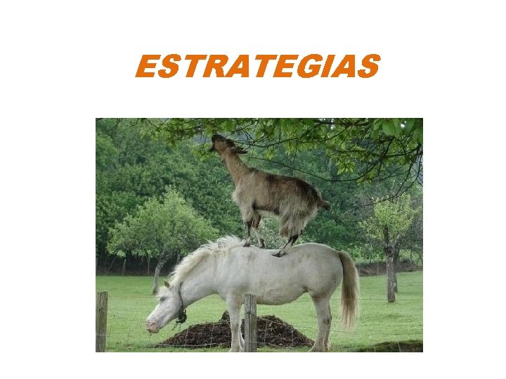 ESTRATEGIAS ESTRATEGIAS