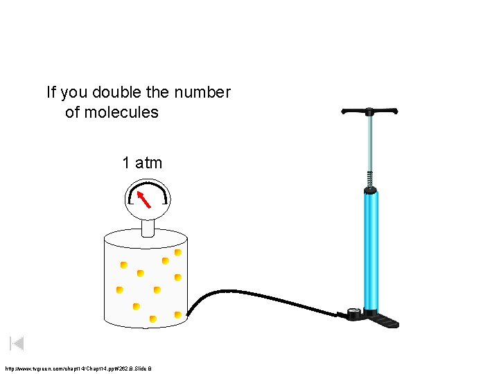 If you double the number of molecules 1 atm http: //www. tvgreen. com/chapt 14/Chapt