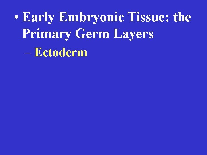  • Early Embryonic Tissue: the Primary Germ Layers – Ectoderm 